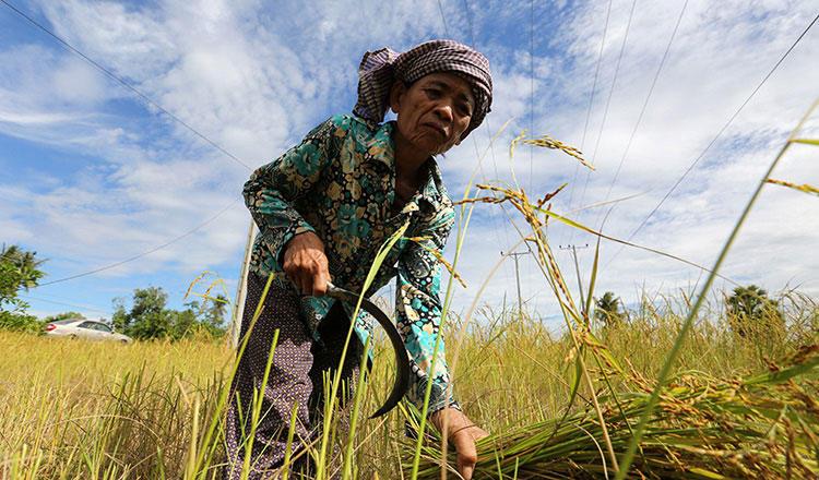 After PM’s call, banks rally around to support farmers